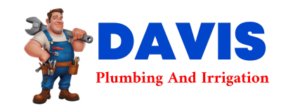 Trusted plumber in PARADISE INN